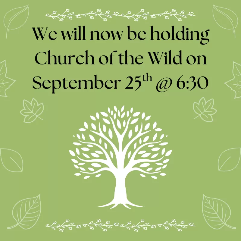 Church of the Wild