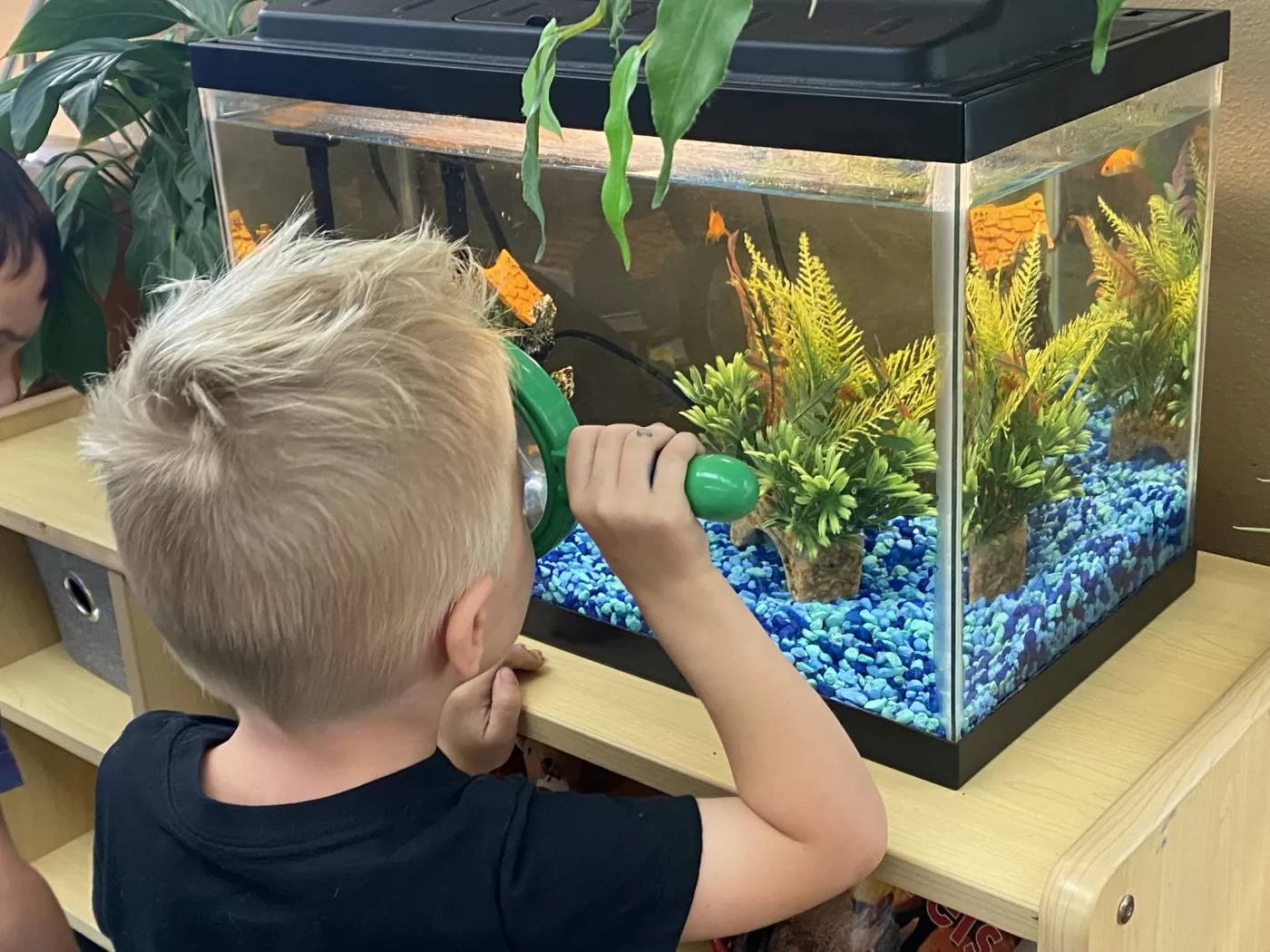 475167541_1021346620026023_5960336320148113247_n